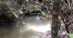 Chácara 4ha – Km 12 – Córrego – Alto Paraíso – Chapada dos Veadeiros Chácara 4ha – Km 12 – Córrego – Alto Paraíso – Chapada dos Veadeiros