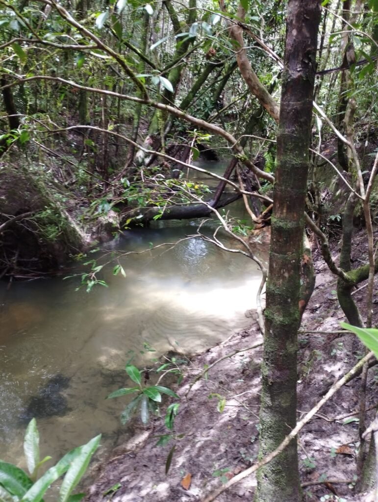 Chácara 4ha – Km 12 – Córrego – Alto Paraíso – Chapada dos Veadeiros