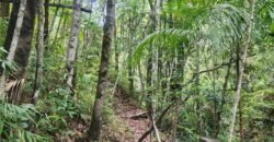 🌿 **Oportunidade Única na Chapada dos Veadeiros, com Cachoeira, 12 km de Alto Paraíso! 🌿 **Oportunidade Única na Chapada dos Veadeiros, com Cachoeira, 12 km de Alto Paraíso!