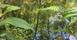 🌿 **Oportunidade Única na Chapada dos Veadeiros, com Cachoeira, 12 km de Alto Paraíso! 🌿 **Oportunidade Única na Chapada dos Veadeiros, com Cachoeira, 12 km de Alto Paraíso!