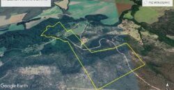 Espetacular Oportunidade! Fazenda de 50 Hectares à Beira do Rio Tocantinzinho – Chapada dos Veadeiros Espetacular Oportunidade! Fazenda de 50 Hectares à Beira do Rio Tocantinzinho – Chapada dos Veadeiros