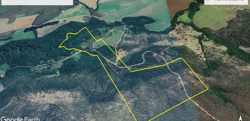 Espetacular Oportunidade! Fazenda de 50 Hectares à Beira do Rio Tocantinzinho – Chapada dos Veadeiros