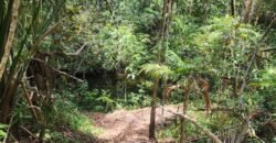 🌿 **Oportunidade Única na Chapada dos Veadeiros, com Cachoeira, 12 km de Alto Paraíso! 🌿 **Oportunidade Única na Chapada dos Veadeiros, com Cachoeira, 12 km de Alto Paraíso!