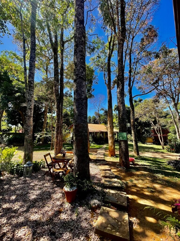 🏡 Propriedade para obter Renda e Moradia em Alto Paraíso – Centro – Chapada dos Veadeiros!
