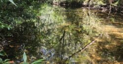 🌿 **Oportunidade Única na Chapada dos Veadeiros, com Cachoeira, 12 km de Alto Paraíso! 🌿 **Oportunidade Única na Chapada dos Veadeiros, com Cachoeira, 12 km de Alto Paraíso!