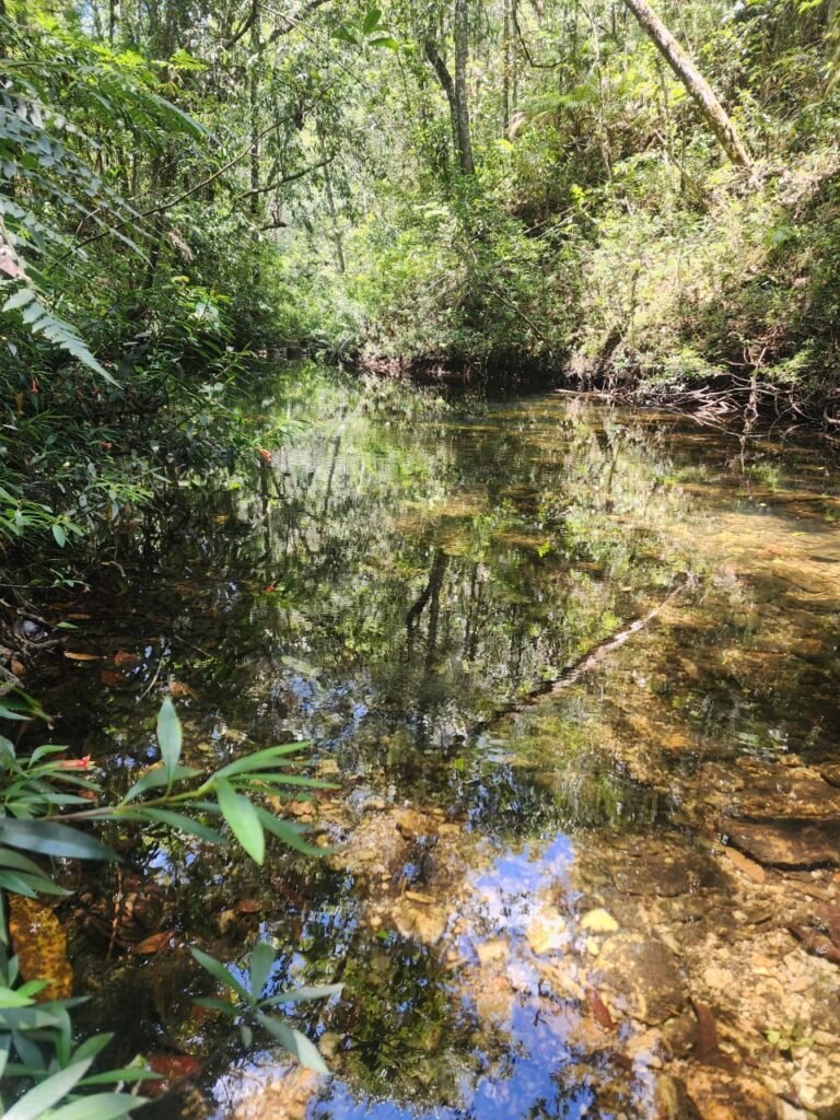🌿 **Oportunidade Única na Chapada dos Veadeiros, com Cachoeira, 12 km de Alto Paraíso!