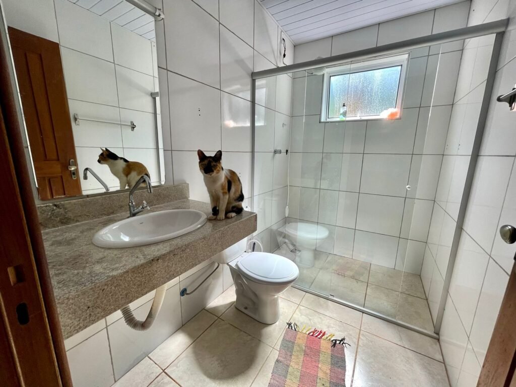 🏡 Propriedade para obter Renda e Moradia em Alto Paraíso – Centro – Chapada dos Veadeiros!