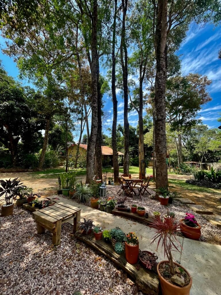 🏡 Propriedade para obter Renda e Moradia em Alto Paraíso – Centro – Chapada dos Veadeiros!