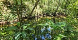 🌿 **Oportunidade Única na Chapada dos Veadeiros, com Cachoeira, 12 km de Alto Paraíso! 🌿 **Oportunidade Única na Chapada dos Veadeiros, com Cachoeira, 12 km de Alto Paraíso!
