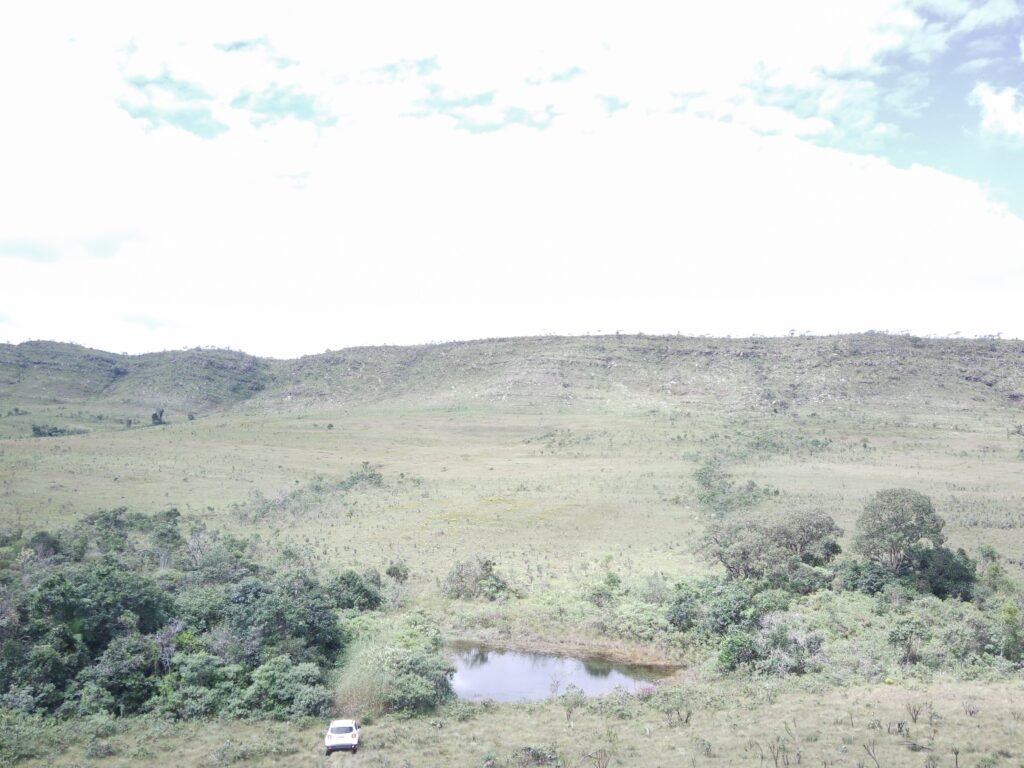 Oportunidade Imperdível! Fazenda 240ha com Nascente e Vista Cênica na Chapada dos Veadeiros 🌿