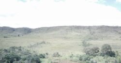 Oportunidade Imperdível! Fazenda 240ha com Nascente e Vista Cênica na Chapada dos Veadeiros 🌿 Oportunidade Imperdível! Fazenda 240ha com Nascente e Vista Cênica na Chapada dos Veadeiros 🌿