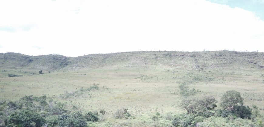 Oportunidade Imperdível! Fazenda 240ha com Nascente e Vista Cênica na Chapada dos Veadeiros 🌿