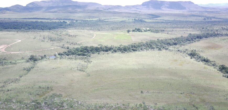 Oportunidade Imperdível! Fazenda 240ha com Nascente e Vista Cênica na Chapada dos Veadeiros 🌿
