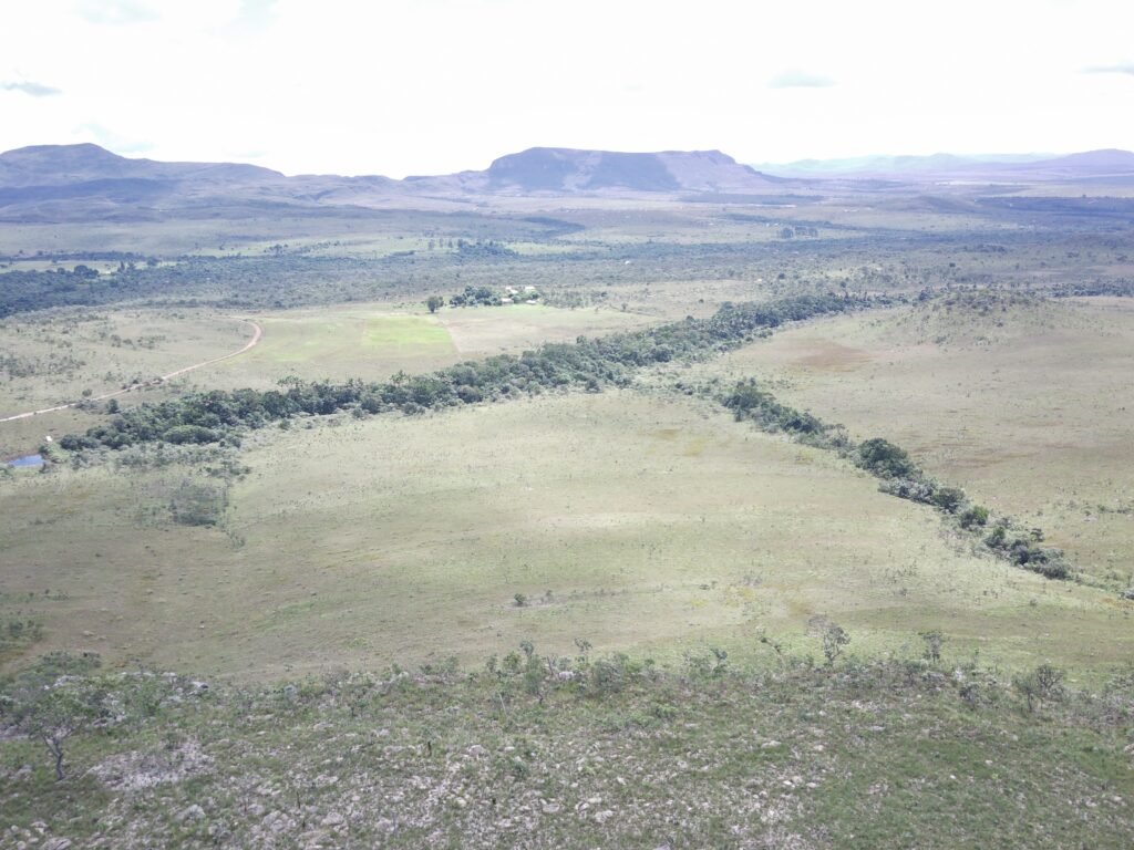 Oportunidade Imperdível! Fazenda 240ha com Nascente e Vista Cênica na Chapada dos Veadeiros 🌿