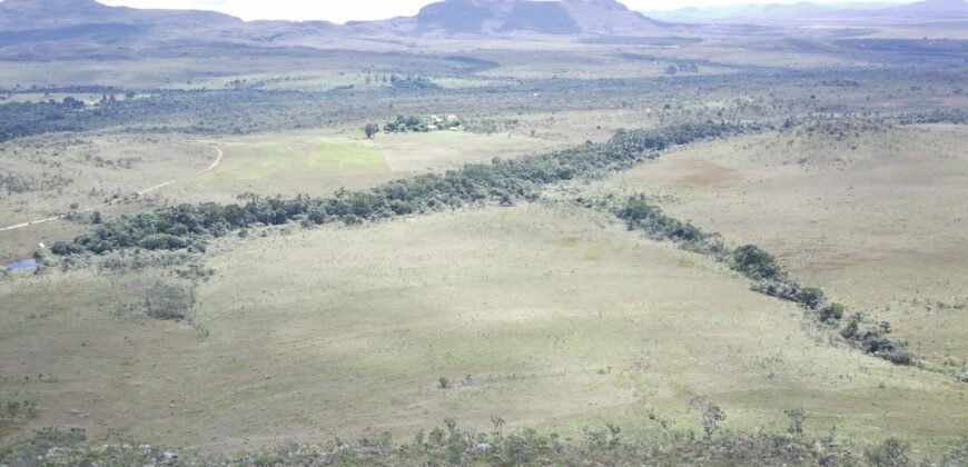 Oportunidade Imperdível! Fazenda 240ha com Nascente e Vista Cênica na Chapada dos Veadeiros 🌿