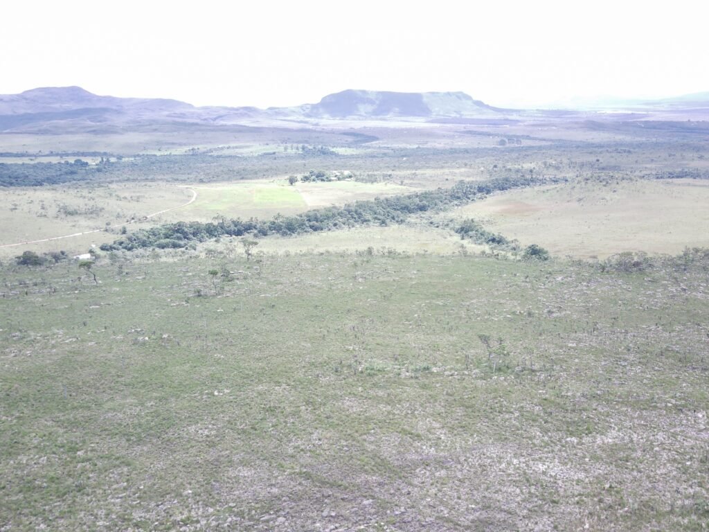 Oportunidade Imperdível! Fazenda 240ha com Nascente e Vista Cênica na Chapada dos Veadeiros 🌿