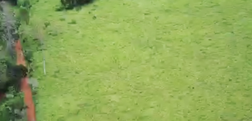 Espetacular Oportunidade! Fazenda de 50 Hectares à Beira do Rio Tocantinzinho – Chapada dos Veadeiros