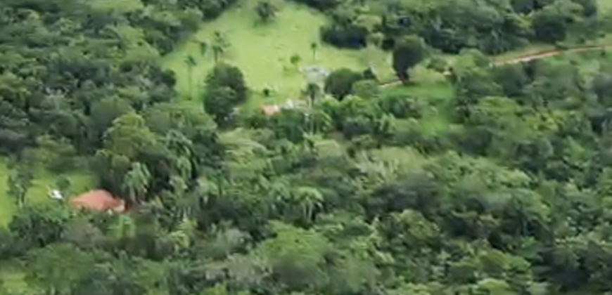 Espetacular Oportunidade! Fazenda de 50 Hectares à Beira do Rio Tocantinzinho – Chapada dos Veadeiros