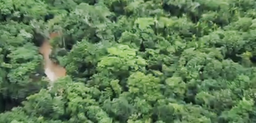 Espetacular Oportunidade! Fazenda de 50 Hectares à Beira do Rio Tocantinzinho – Chapada dos Veadeiros