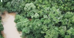 Espetacular Oportunidade! Fazenda de 50 Hectares à Beira do Rio Tocantinzinho – Chapada dos Veadeiros Espetacular Oportunidade! Fazenda de 50 Hectares à Beira do Rio Tocantinzinho – Chapada dos Veadeiros