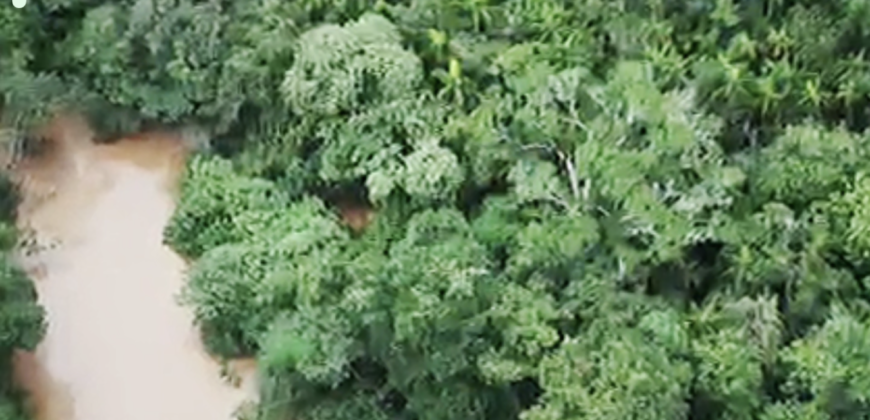 Espetacular Oportunidade! Fazenda de 50 Hectares à Beira do Rio Tocantinzinho – Chapada dos Veadeiros