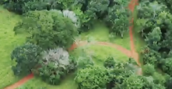 Espetacular Oportunidade! Fazenda de 50 Hectares à Beira do Rio Tocantinzinho – Chapada dos Veadeiros Espetacular Oportunidade! Fazenda de 50 Hectares à Beira do Rio Tocantinzinho – Chapada dos Veadeiros