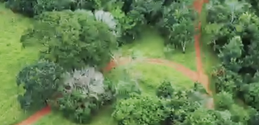 Espetacular Oportunidade! Fazenda de 50 Hectares à Beira do Rio Tocantinzinho – Chapada dos Veadeiros