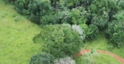 Espetacular Oportunidade! Fazenda de 50 Hectares à Beira do Rio Tocantinzinho – Chapada dos Veadeiros Espetacular Oportunidade! Fazenda de 50 Hectares à Beira do Rio Tocantinzinho – Chapada dos Veadeiros