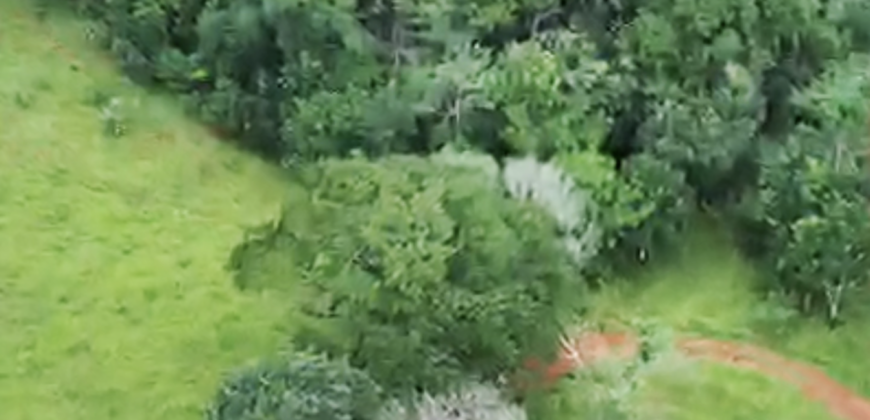 Espetacular Oportunidade! Fazenda de 50 Hectares à Beira do Rio Tocantinzinho – Chapada dos Veadeiros