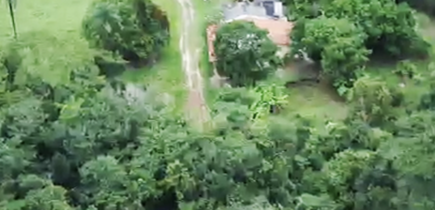 Espetacular Oportunidade! Fazenda de 50 Hectares à Beira do Rio Tocantinzinho – Chapada dos Veadeiros