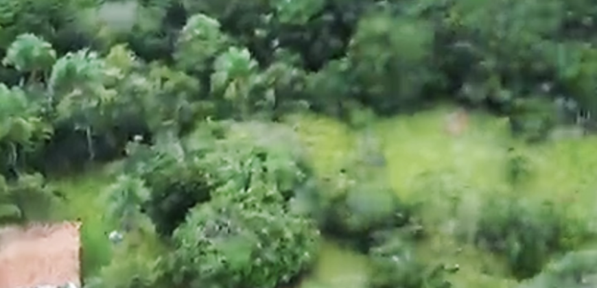 Espetacular Oportunidade! Fazenda de 50 Hectares à Beira do Rio Tocantinzinho – Chapada dos Veadeiros