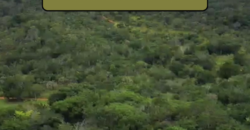 Espetacular Oportunidade! Fazenda de 50 Hectares à Beira do Rio Tocantinzinho – Chapada dos Veadeiros Espetacular Oportunidade! Fazenda de 50 Hectares à Beira do Rio Tocantinzinho – Chapada dos Veadeiros