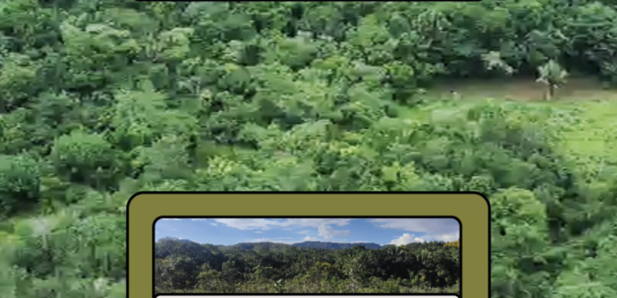 Espetacular Oportunidade! Fazenda de 50 Hectares à Beira do Rio Tocantinzinho – Chapada dos Veadeiros