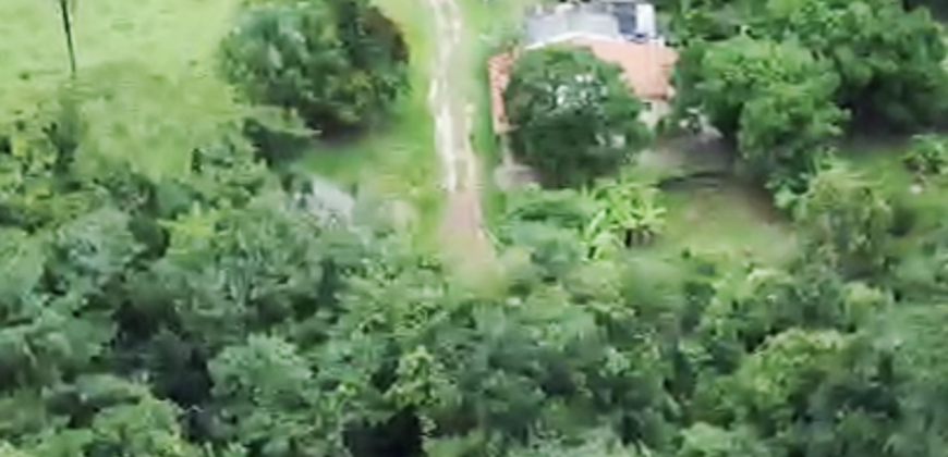 Espetacular Oportunidade! Fazenda de 50 Hectares à Beira do Rio Tocantinzinho – Chapada dos Veadeiros