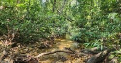 🌿 **Oportunidade Única na Chapada dos Veadeiros, com Cachoeira, 12 km de Alto Paraíso! 🌿 **Oportunidade Única na Chapada dos Veadeiros, com Cachoeira, 12 km de Alto Paraíso!