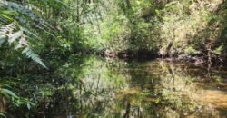 🌿 **Oportunidade Única na Chapada dos Veadeiros, com Cachoeira, 12 km de Alto Paraíso! 🌿 **Oportunidade Única na Chapada dos Veadeiros, com Cachoeira, 12 km de Alto Paraíso!