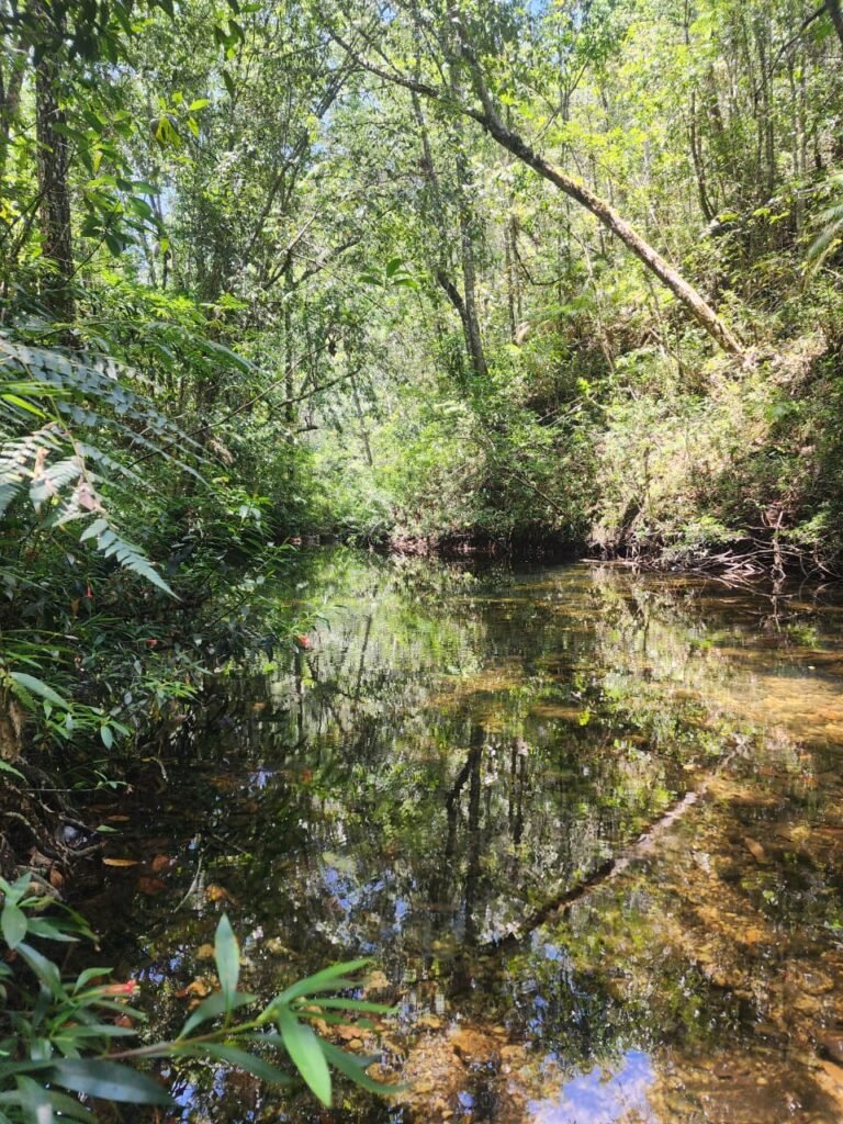 🌿 **Oportunidade Única na Chapada dos Veadeiros, com Cachoeira, 12 km de Alto Paraíso!