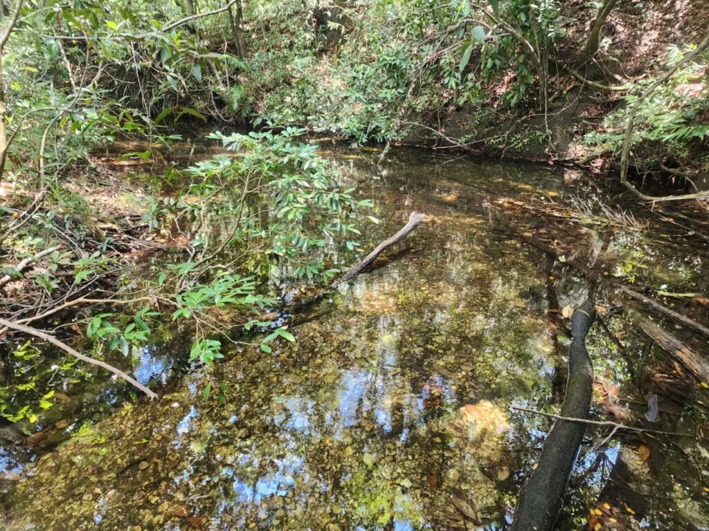 🌿 **Oportunidade Única na Chapada dos Veadeiros, com Cachoeira, 12 km de Alto Paraíso!