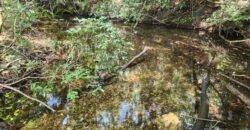 🌿 **Oportunidade Única na Chapada dos Veadeiros, com Cachoeira, 12 km de Alto Paraíso! 🌿 **Oportunidade Única na Chapada dos Veadeiros, com Cachoeira, 12 km de Alto Paraíso!