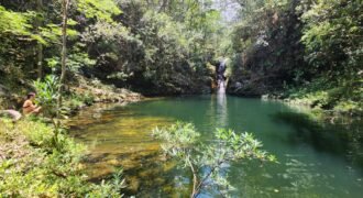 🌿 **Oportunidade Única na Chapada dos Veadeiros, com Cachoeira, 12 km de Alto Paraíso!