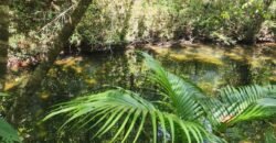 🌿 **Oportunidade Única na Chapada dos Veadeiros, com Cachoeira, 12 km de Alto Paraíso! 🌿 **Oportunidade Única na Chapada dos Veadeiros, com Cachoeira, 12 km de Alto Paraíso!