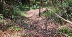 🌿 **Oportunidade Única na Chapada dos Veadeiros, com Cachoeira, 12 km de Alto Paraíso! 🌿 **Oportunidade Única na Chapada dos Veadeiros, com Cachoeira, 12 km de Alto Paraíso!