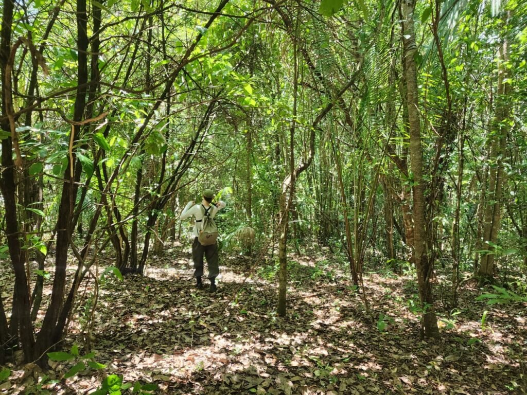 🌿 **Oportunidade Única na Chapada dos Veadeiros, com Cachoeira, 12 km de Alto Paraíso!