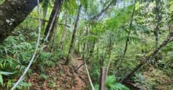 🌿 **Oportunidade Única na Chapada dos Veadeiros, com Cachoeira, 12 km de Alto Paraíso! 🌿 **Oportunidade Única na Chapada dos Veadeiros, com Cachoeira, 12 km de Alto Paraíso!