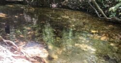 🌿 **Oportunidade Única na Chapada dos Veadeiros, com Cachoeira, 12 km de Alto Paraíso! 🌿 **Oportunidade Única na Chapada dos Veadeiros, com Cachoeira, 12 km de Alto Paraíso!