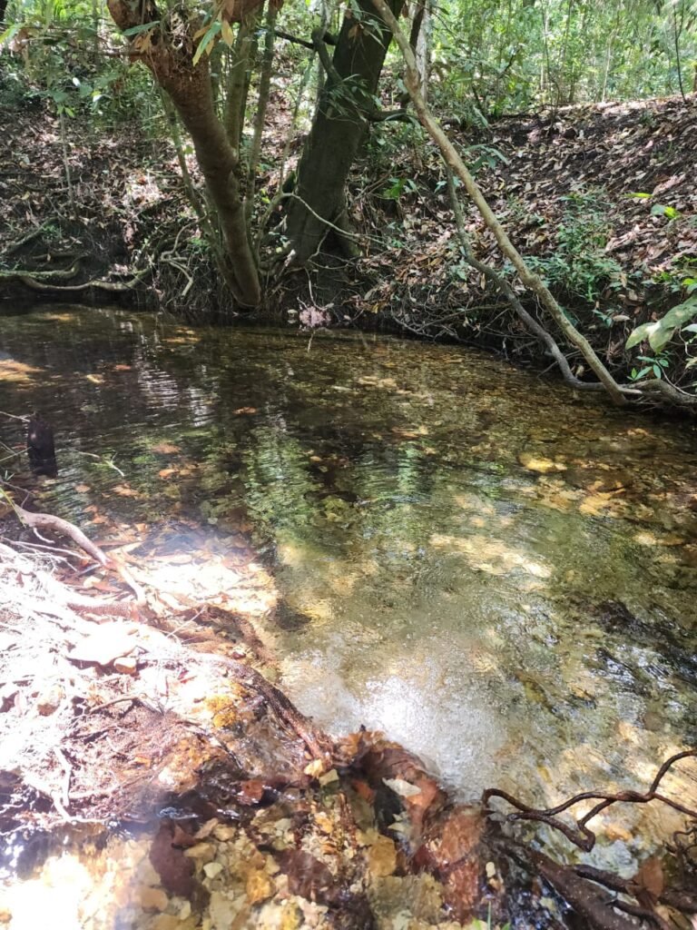 🌿 **Oportunidade Única na Chapada dos Veadeiros, com Cachoeira, 12 km de Alto Paraíso!