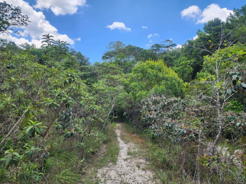 🌿 **Oportunidade Única na Chapada dos Veadeiros, com Cachoeira, 12 km de Alto Paraíso!
