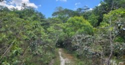 🌿 **Oportunidade Única na Chapada dos Veadeiros, com Cachoeira, 12 km de Alto Paraíso! 🌿 **Oportunidade Única na Chapada dos Veadeiros, com Cachoeira, 12 km de Alto Paraíso!