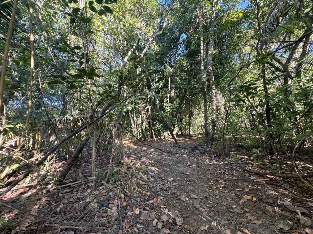 Chácara 8ha – Benfetirória na região do Vale Verde – Alto Paraíso – Chapada dos Veadeiros