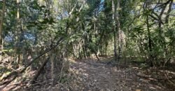 Chácara 8ha – Benfetirória na região do Vale Verde – Alto Paraíso – Chapada dos Veadeiros Chácara 8ha – Benfetirória na região do Vale Verde – Alto Paraíso – Chapada dos Veadeiros